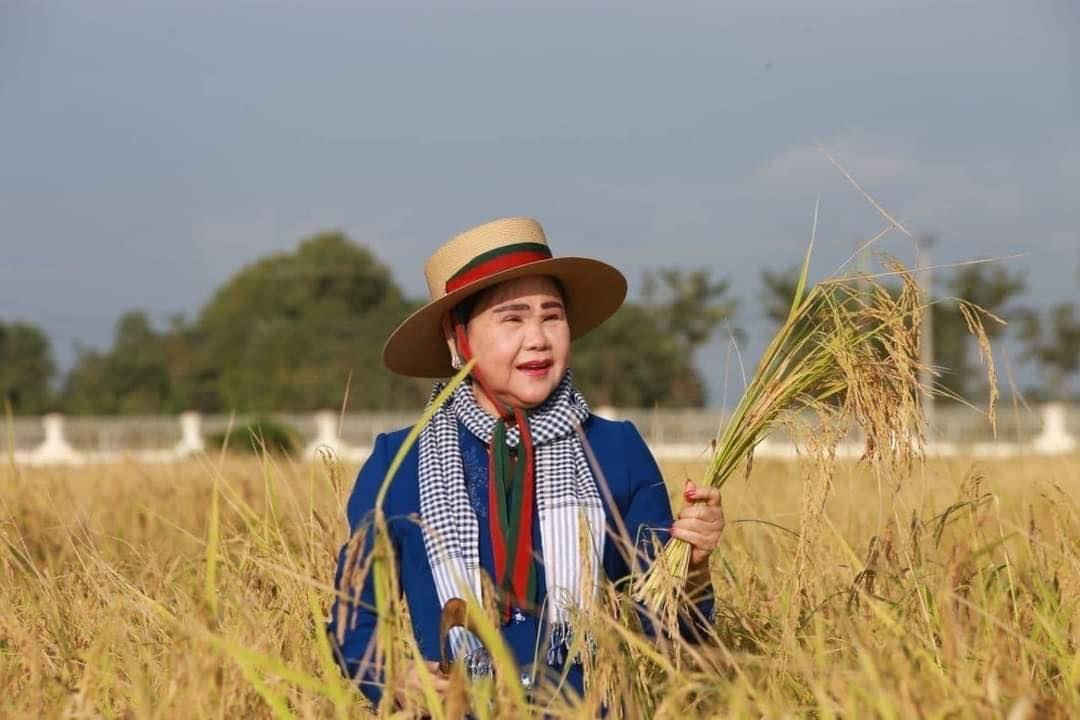 សម្ដេច​កិត្ដិ​ព្រឹទ្ធ​បណ្ឌិត ប៊ុន រ៉ានី ហ៊ុន​សែន អញ្ជើញ​ចុះ​ច្រូតកាត់​ប្រមូល​ផល​ស្រូវ នៅ​ស្រុក​បាទី ខេត្ដ​តាកែវ​