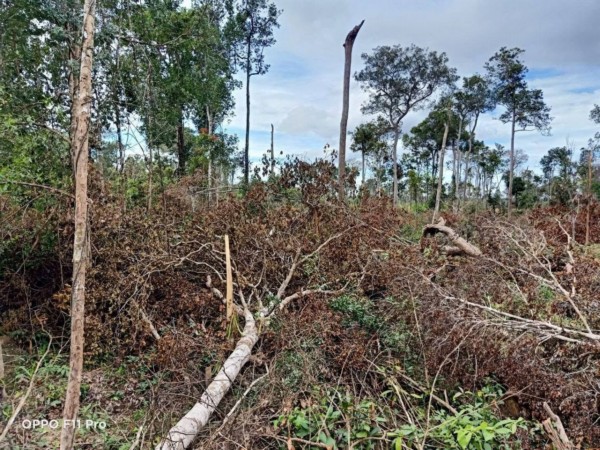 រកឃើញ​មេខ្លោង​កាប់​រាន​ទន្ទ្រាន់​ដី​ព្រៃ​នៅ​ចំនុច​អូរ​អន្ទ្រោក​ក្នុង​តំបន់​ព្រៃអង្គ​តែន​ដែន​គ្រប់គ្រង​របស់​បរិស្ថាន​