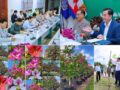 ​ដើមឈើ​ផ្កា “​ជើង​គោ​” ១៥.០០០​ដើម នឹង​ដាំ​នៅតាម​បណ្តោយ​ផ្លូវជាតិ​លេខ​៧ (​ស្គន់​-​ក្រង​កំពង់ចាម​)